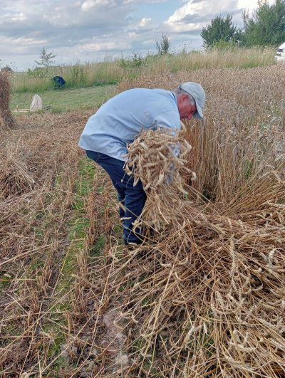 Zażynki w Rozięcinie 2025